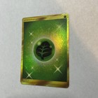 Grass Energy