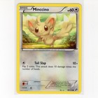 Minccino