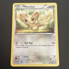 Minccino