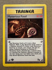 Mysterious Fossil