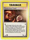Mysterious Fossil
