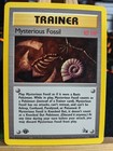 Mysterious Fossil
