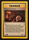 Mysterious Fossil