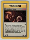Mysterious Fossil