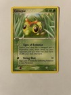 Caterpie