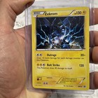 Zekrom
