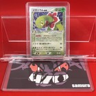 Meganium