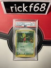 Treecko