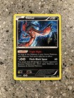 Yveltal