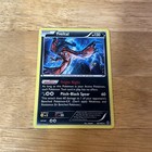 Yveltal