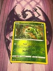 Caterpie