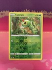 Caterpie