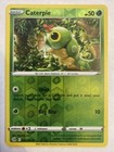 Caterpie