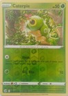 Caterpie