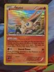 Victini