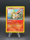 Victini