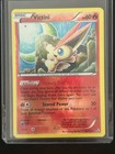 Victini