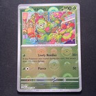Maractus
