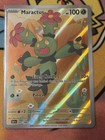 Maractus