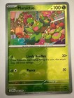 Maractus