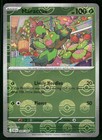 Maractus