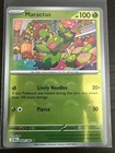 Maractus