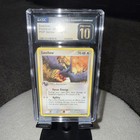 Swellow