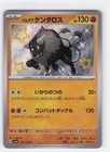 Paldean Tauros