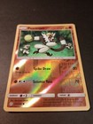 Passimian