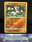 Passimian