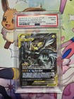 Pikachu & Zekrom GX