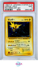 Zapdos-Holo