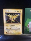 Zapdos-Holo