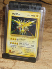 Zapdos-Holo