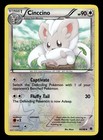 Cinccino