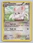 Cinccino