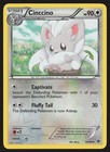 Cinccino