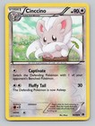 Cinccino