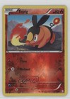 Tepig