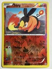 Tepig