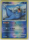 Walrein