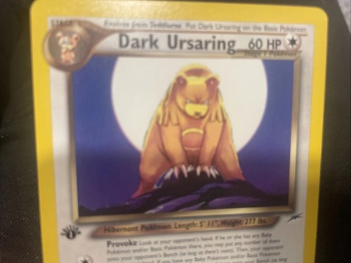Dark Ursaring