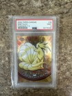 Ninetales