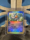 Mudkip