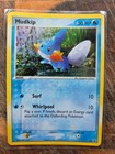 Mudkip
