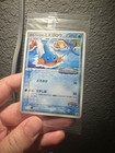 Mudkip