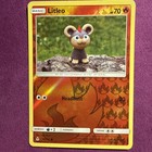 Litleo