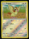 Pidgey
