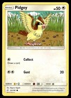 Pidgey