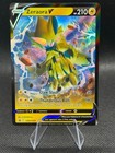 Zeraora V